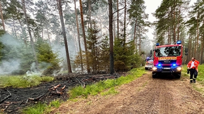 5.000 qm Wald brennen im Gartower Forst