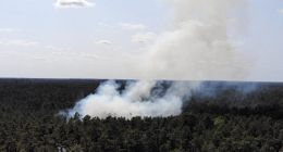 Erster Waldbrand des Jahres beschäftigt über 120 Einsatzkräfte in der Region Gartow