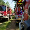 Waldbrandübung Im Fuchsbau