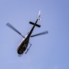 Waldbrandübung Im Fuchsbau