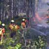 Waldbrandübung Im Fuchsbau