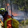 Waldbrandübung Im Fuchsbau