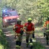 Waldbrandübung Im Fuchsbau